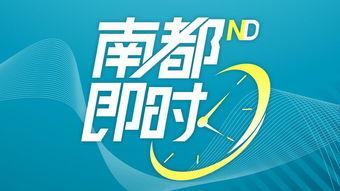 金乡热点爆料最新消息,揭秘重大事件背后的真相！