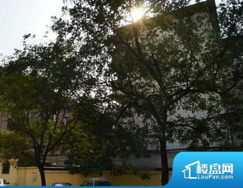 玉桂园小区最新爆料,揭秘神秘事件背后的真相